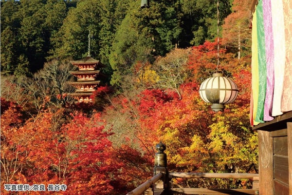 <奈良>錦秋の大和路 紅葉めぐり 談山神社・長谷寺・長岳寺【明石・三宮出発】2